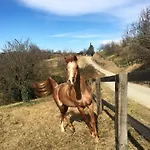 Cascina Domina