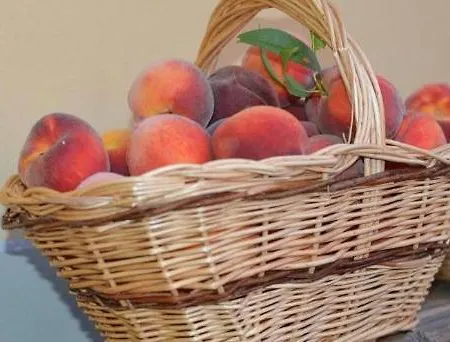 Cascina Domina Hotel *