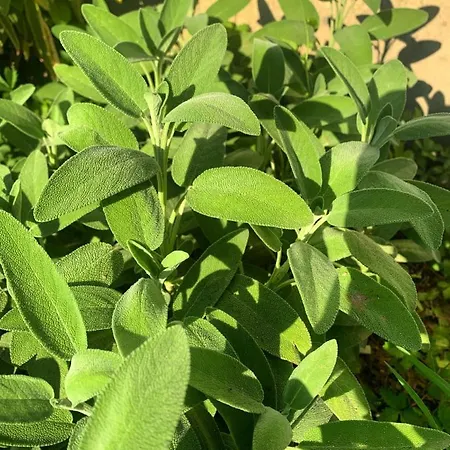 Cascina Domina 酒店