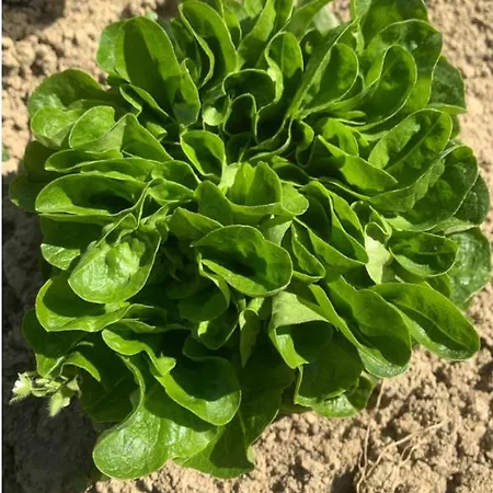 Cascina Domina Отель