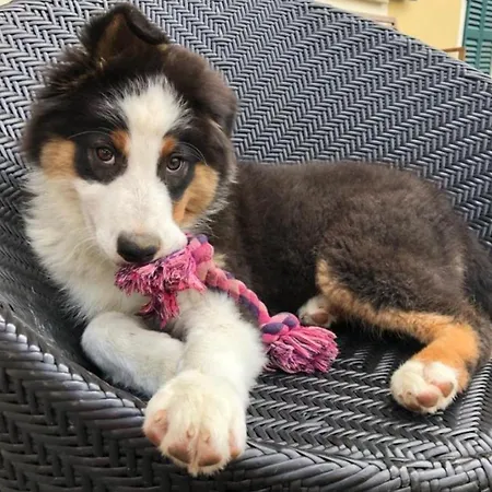 Cascina Domina Gassino Torinese