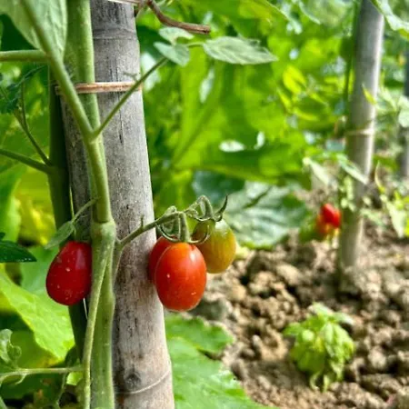 Cascina Domina Gassino Torinese