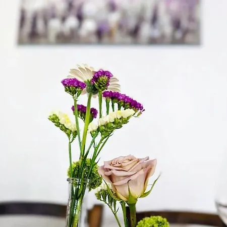 酒店 Cascina Domina Gassino Torinese