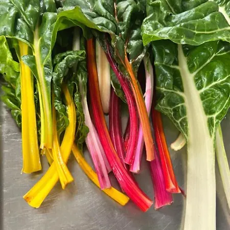 Cascina Domina Hotel *