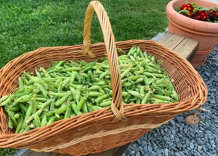 Cascina Domina *